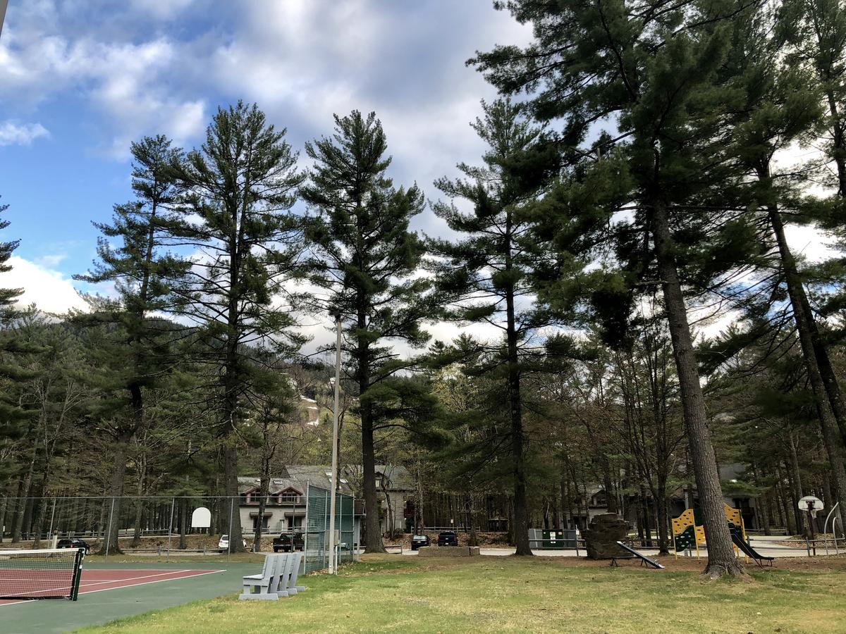 Attitash Mountain Village Studio - Mountain View - thumb 21