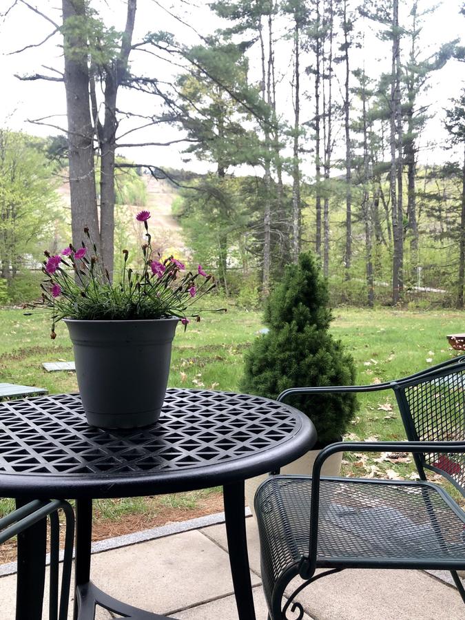 Attitash Mountain Village Studio - Mountain View - thumb 18