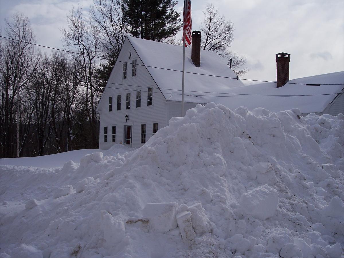 Hummingbird Hill - thumb 13