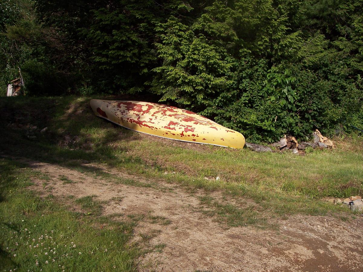 Hummingbird Hill - thumb 19