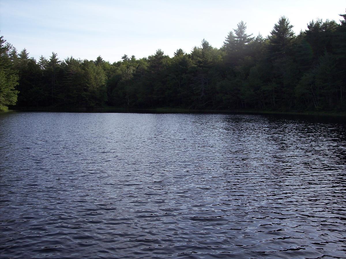 Hummingbird Hill - thumb 26