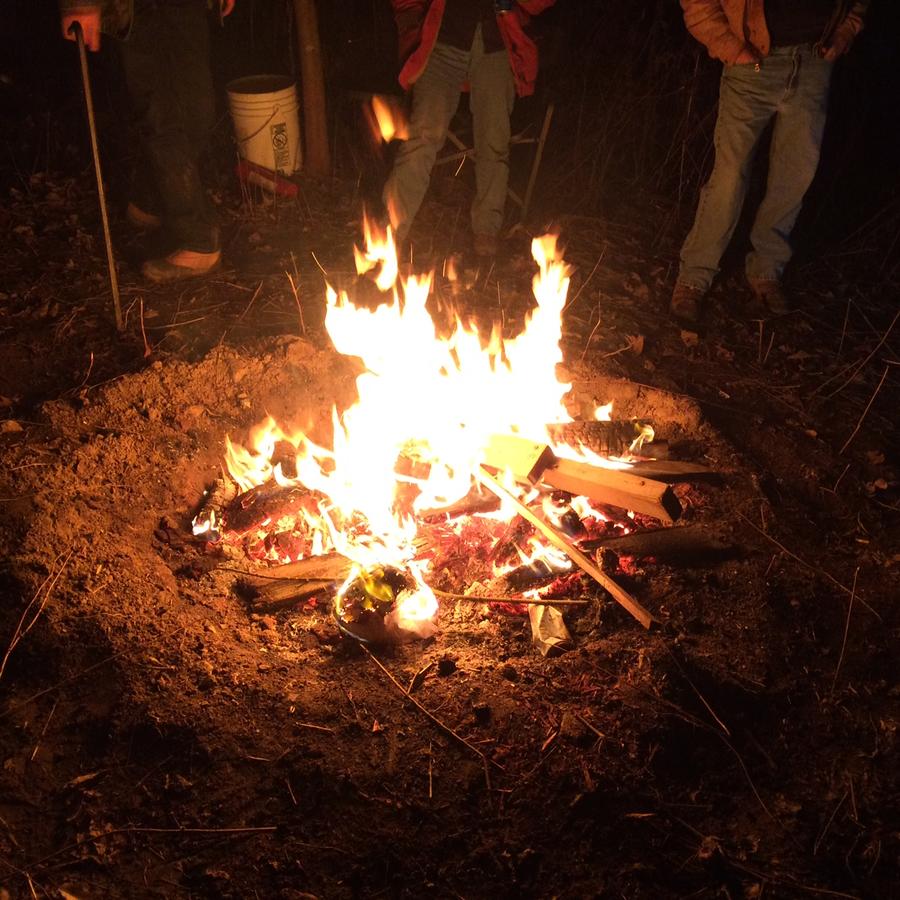 Hummingbird Hill - thumb 35