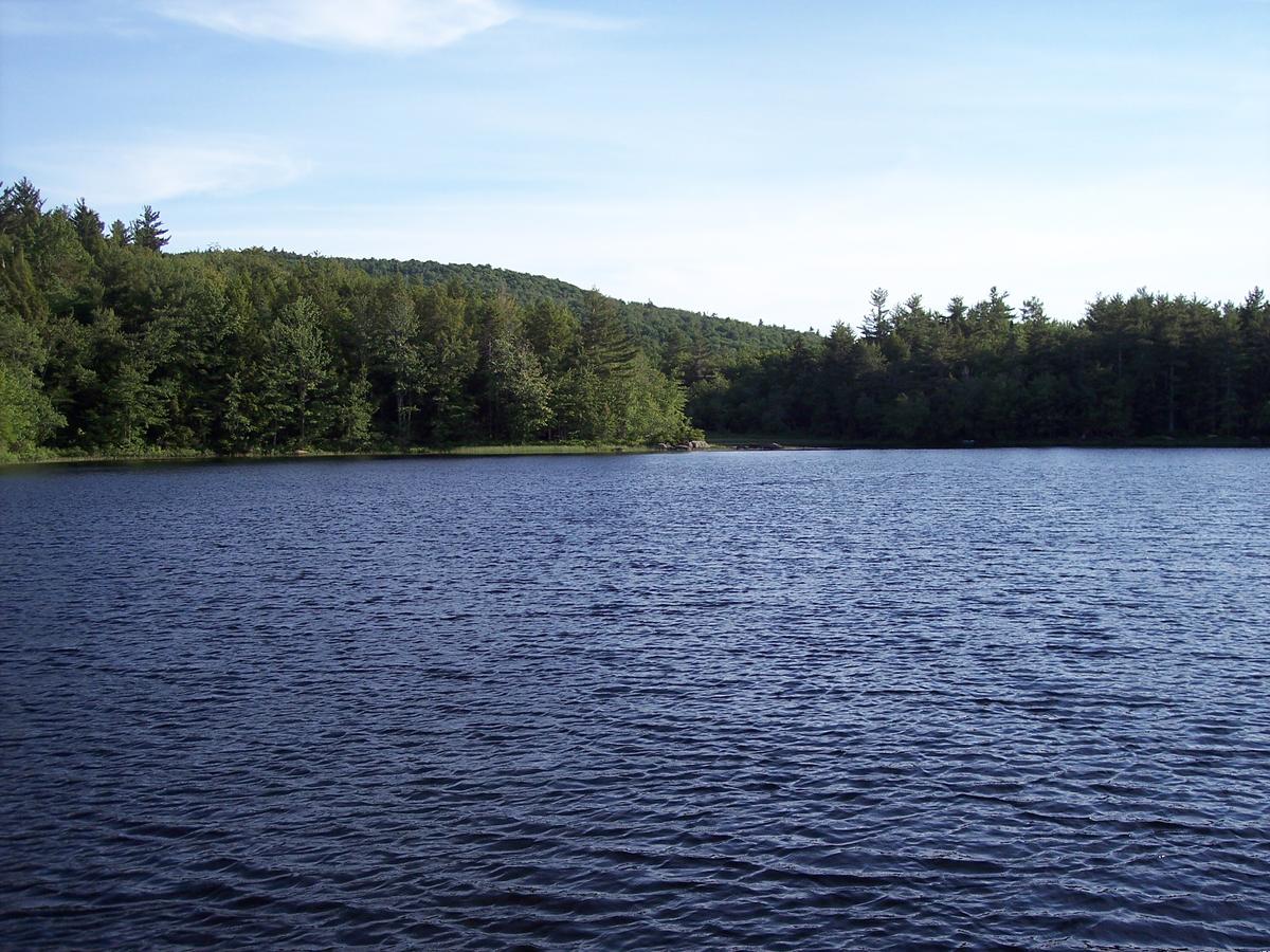 Hummingbird Hill - thumb 29