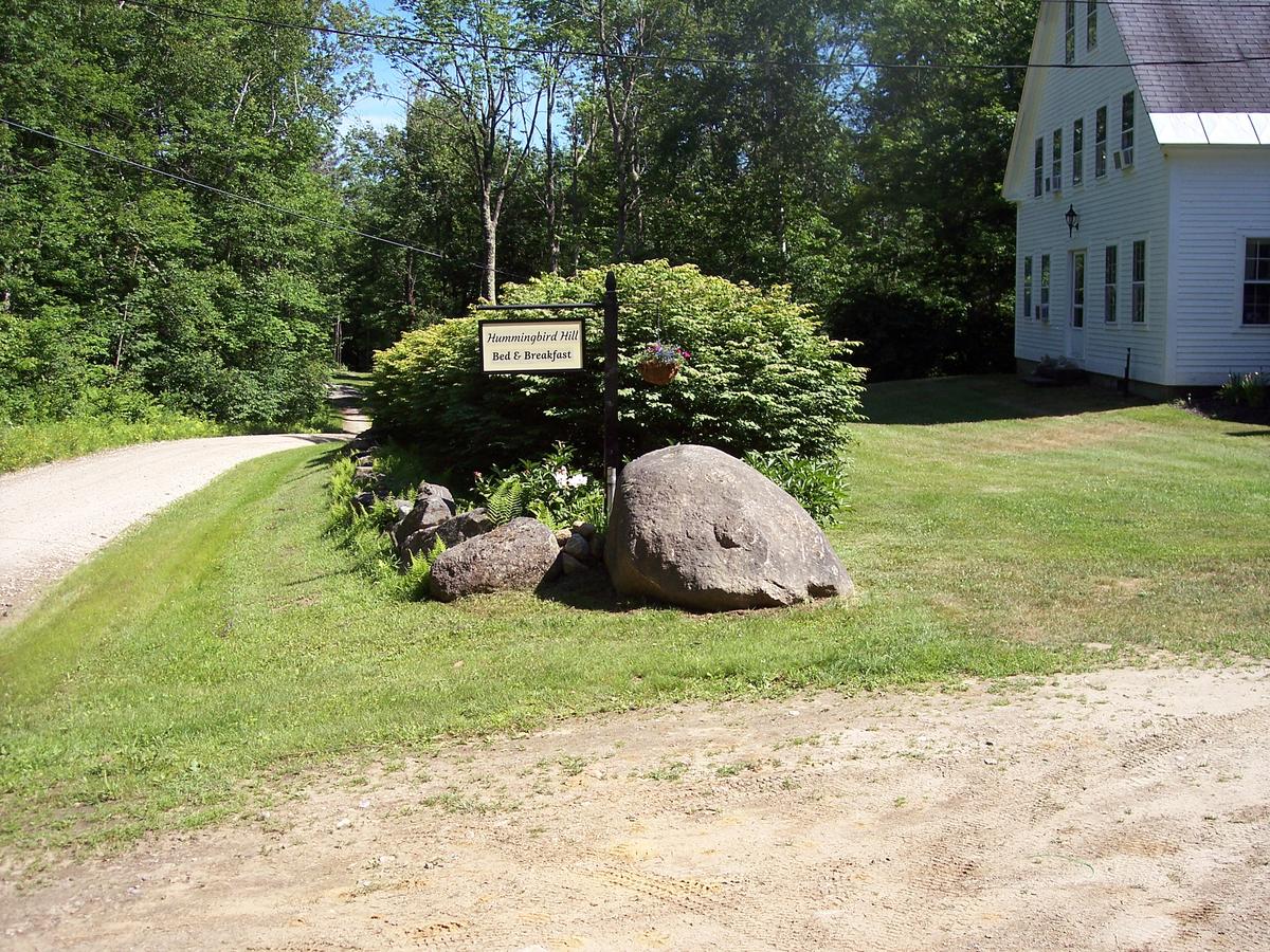 Hummingbird Hill - thumb 5