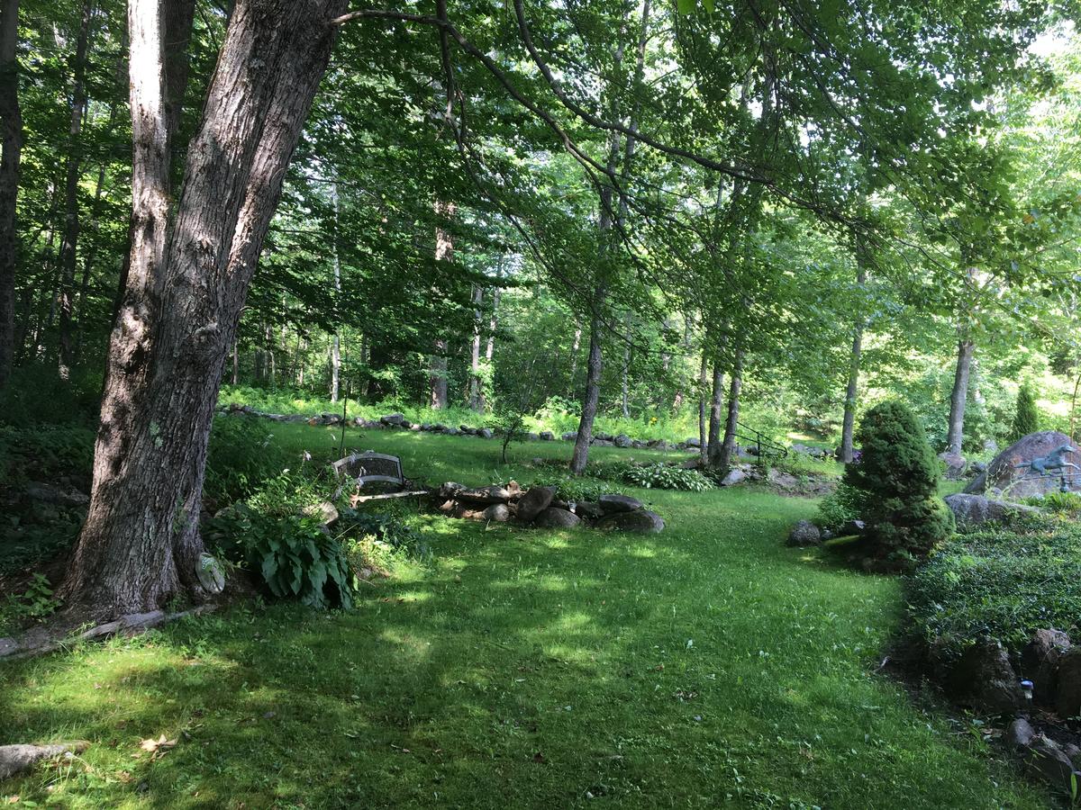 Hummingbird Hill - thumb 40