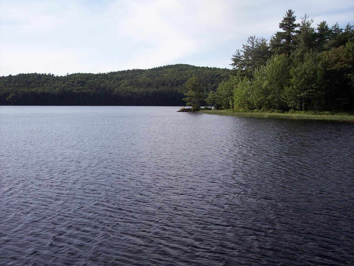 Hummingbird Hill - thumb 28