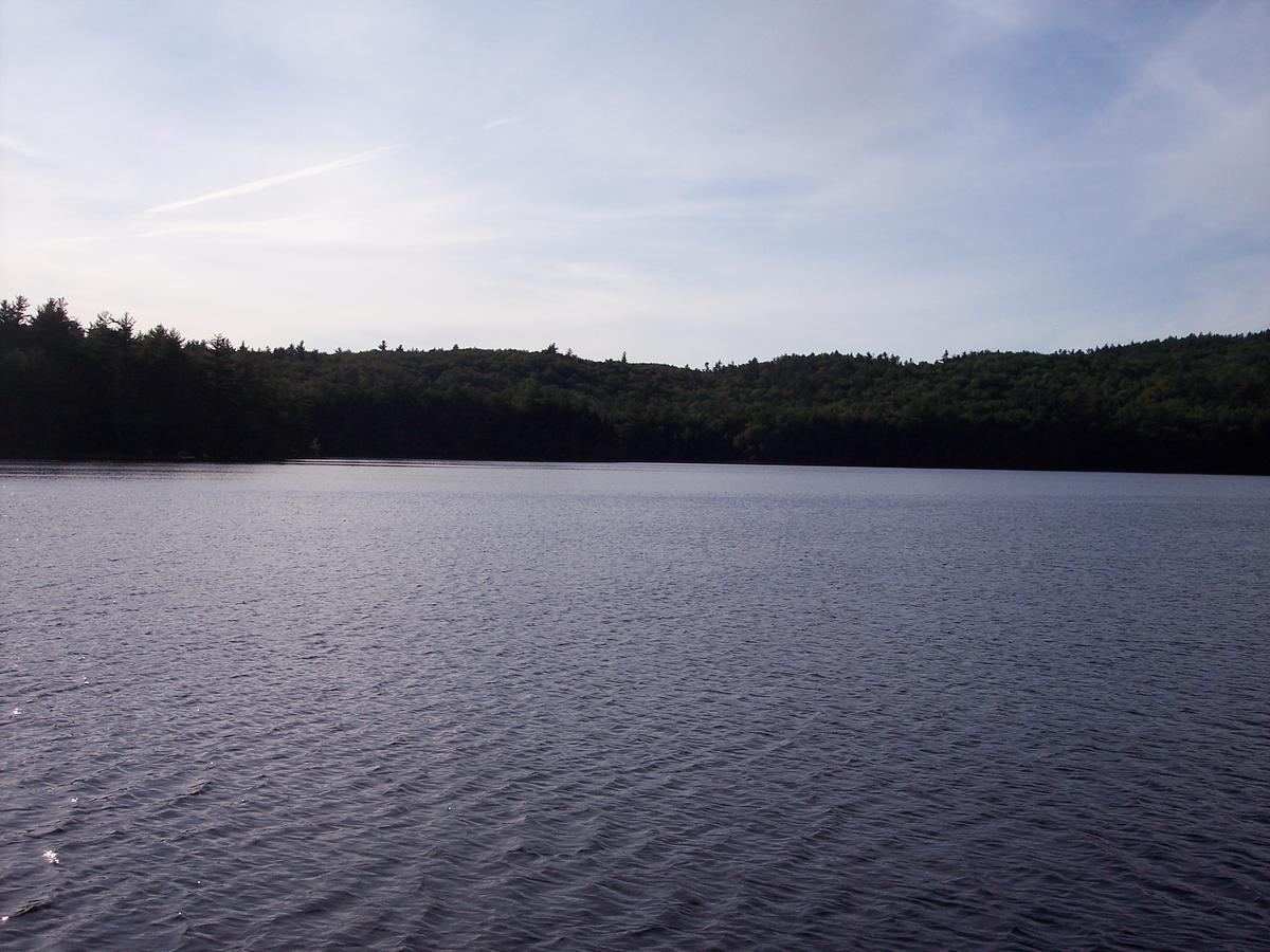 Hummingbird Hill - thumb 25