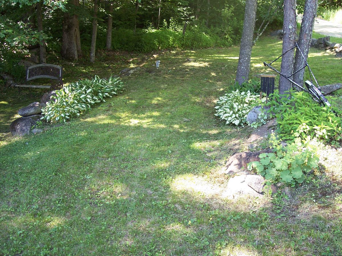 Hummingbird Hill - thumb 37