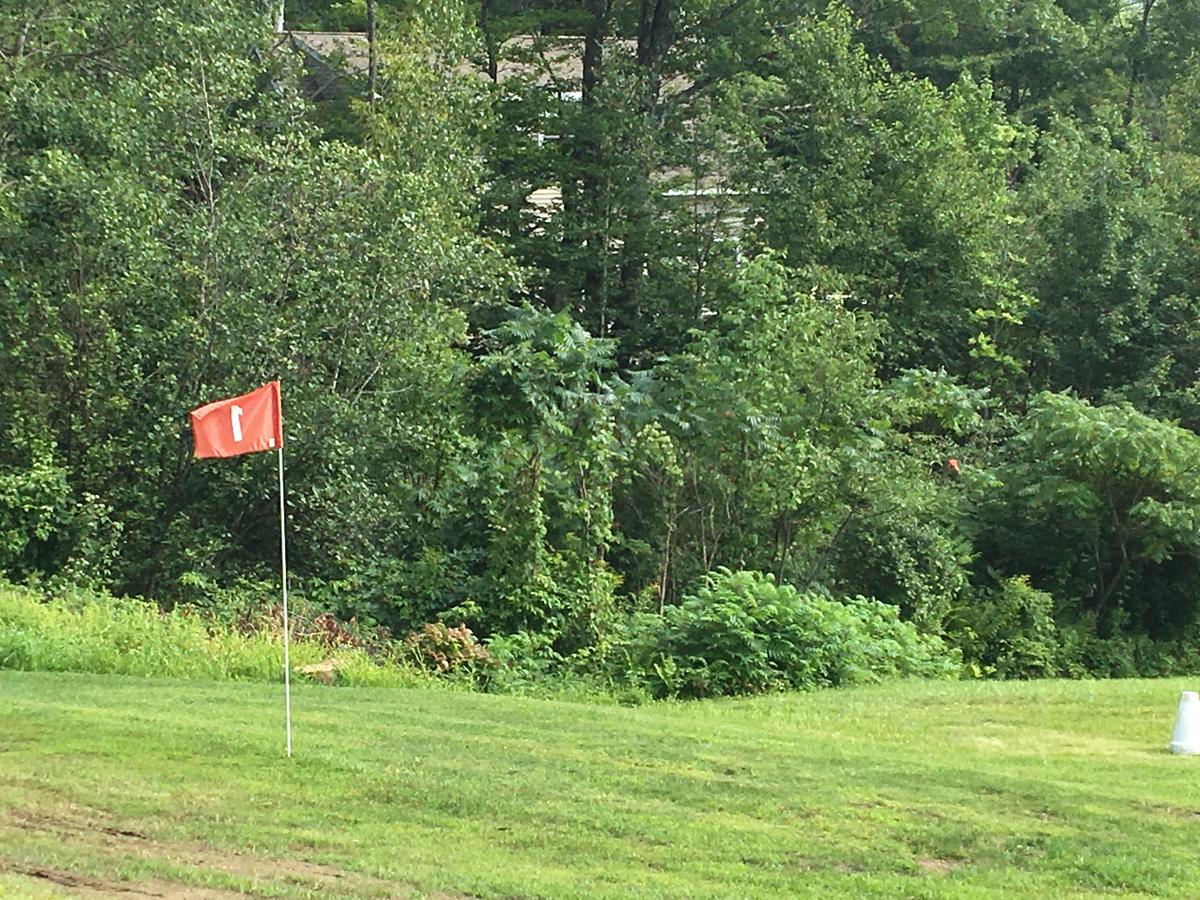 Hummingbird Hill - thumb 43