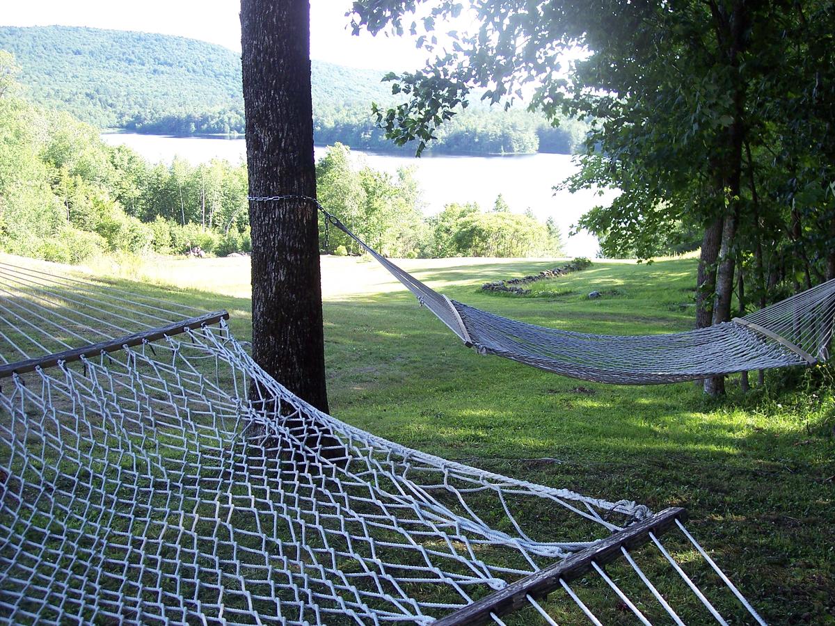 Hummingbird Hill - thumb 18