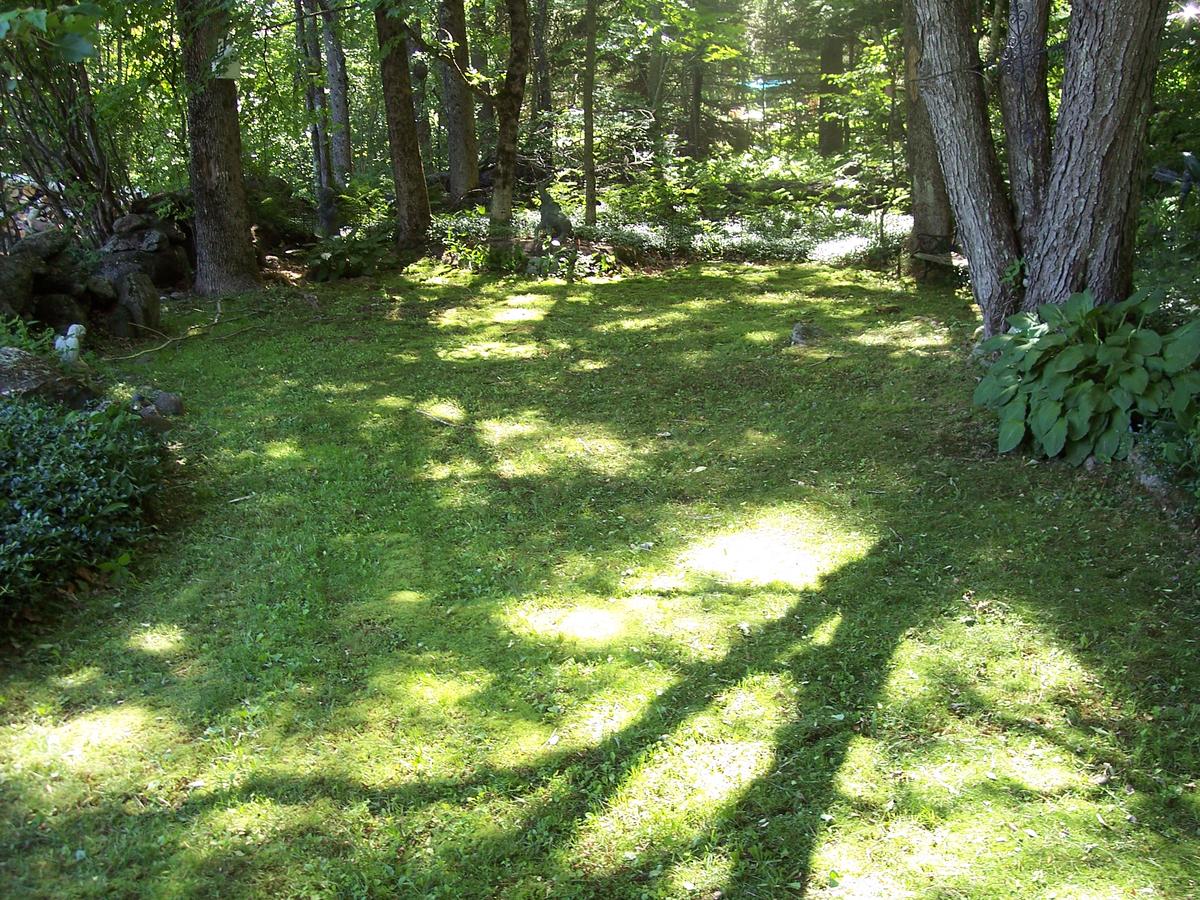 Hummingbird Hill - thumb 39