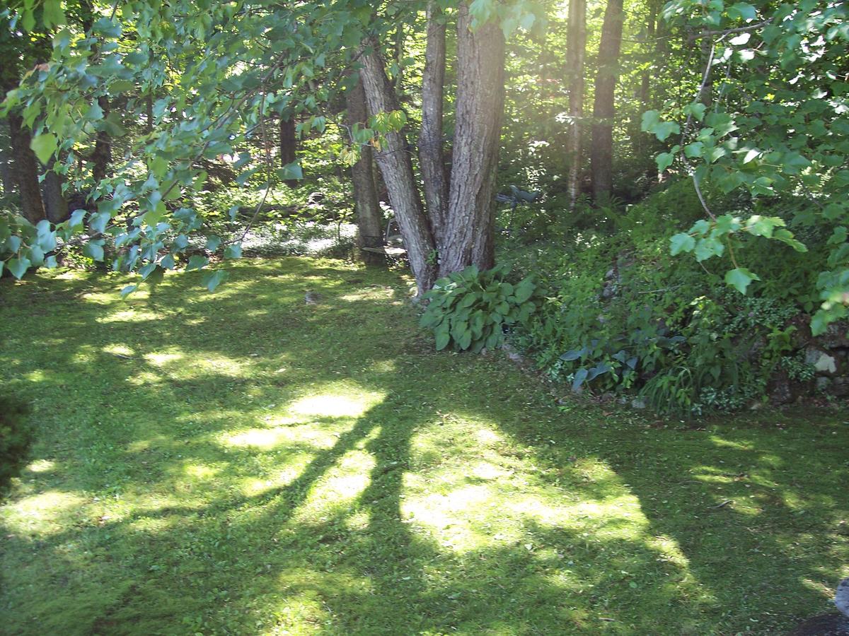 Hummingbird Hill - thumb 38