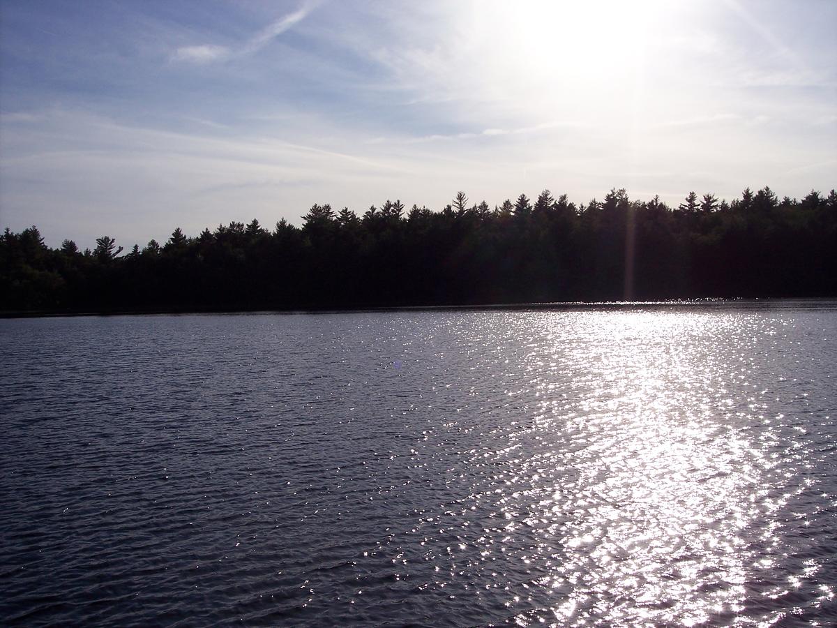 Hummingbird Hill - thumb 27