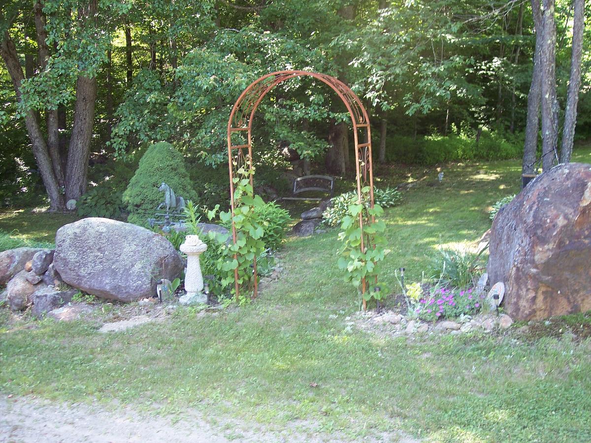 Hummingbird Hill - thumb 36