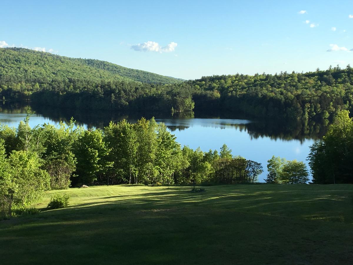 Hummingbird Hill - thumb 7