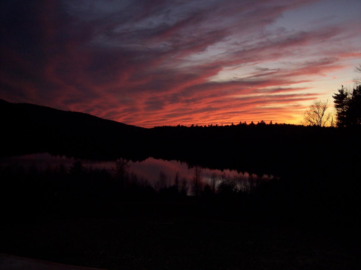 Hummingbird Hill - thumb 9