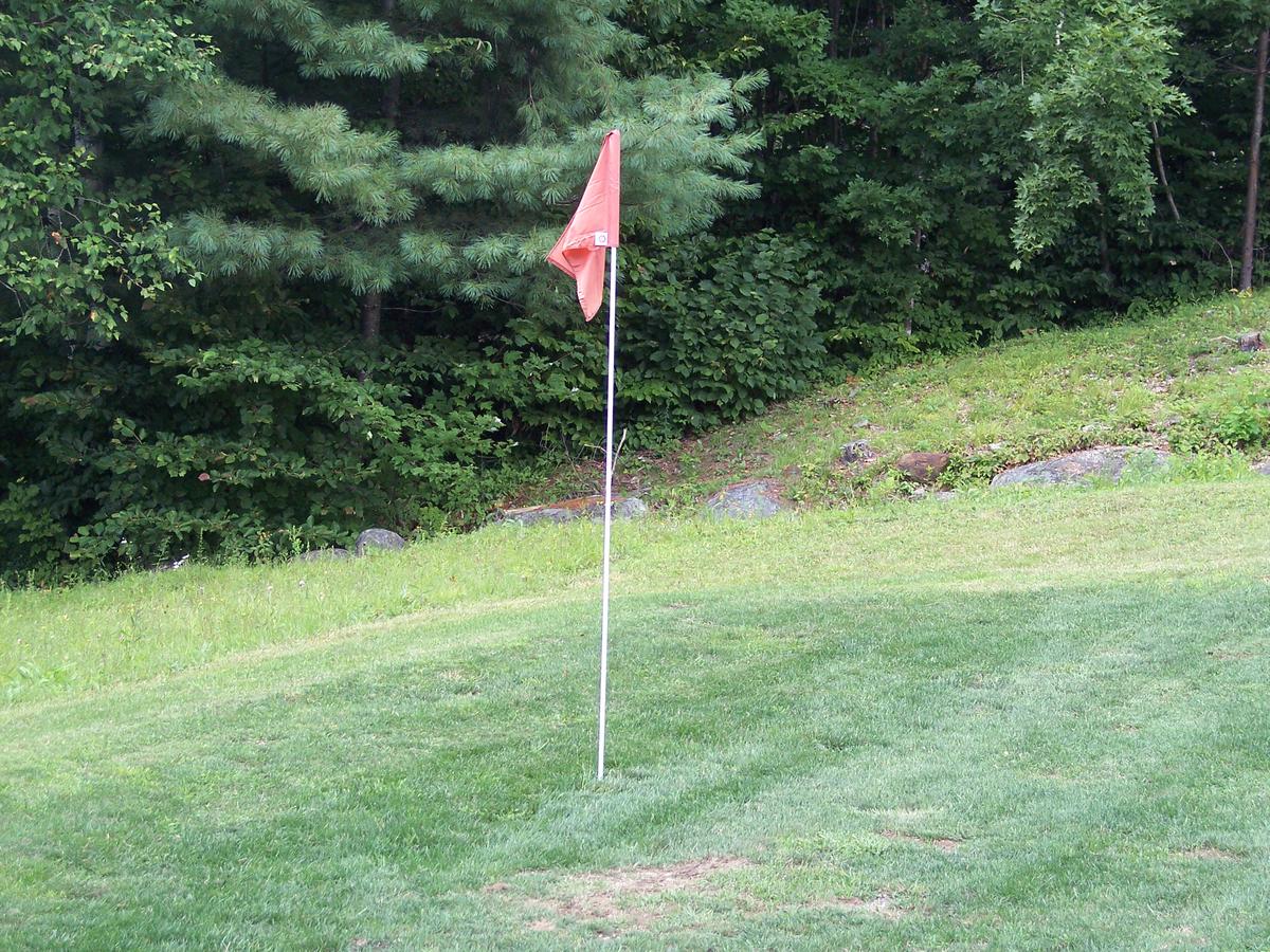 Hummingbird Hill - thumb 42