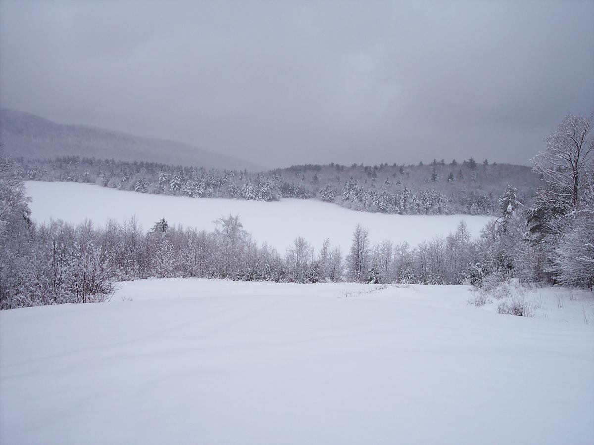 Hummingbird Hill - thumb 14