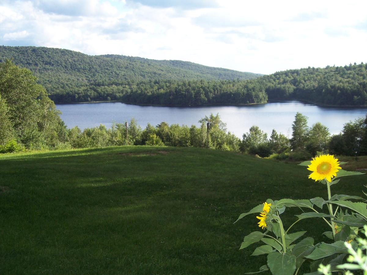 Hummingbird Hill - thumb 0