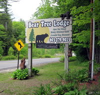 Bear Tree Lodge - Tourism Bookings