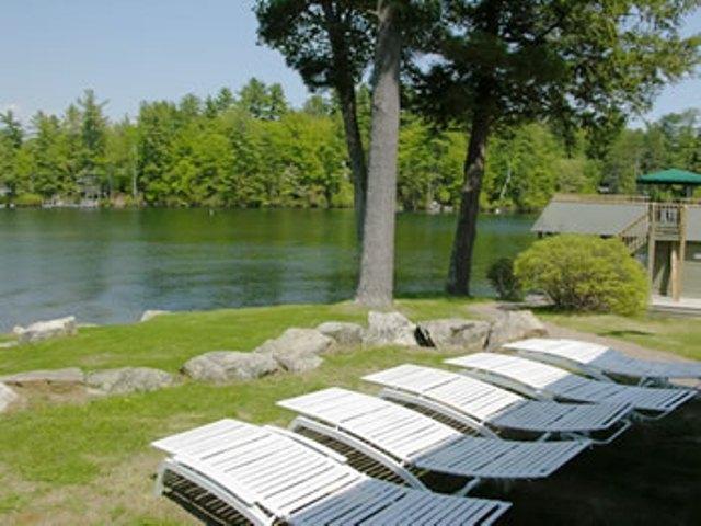 Oliver Lodge - thumb 14