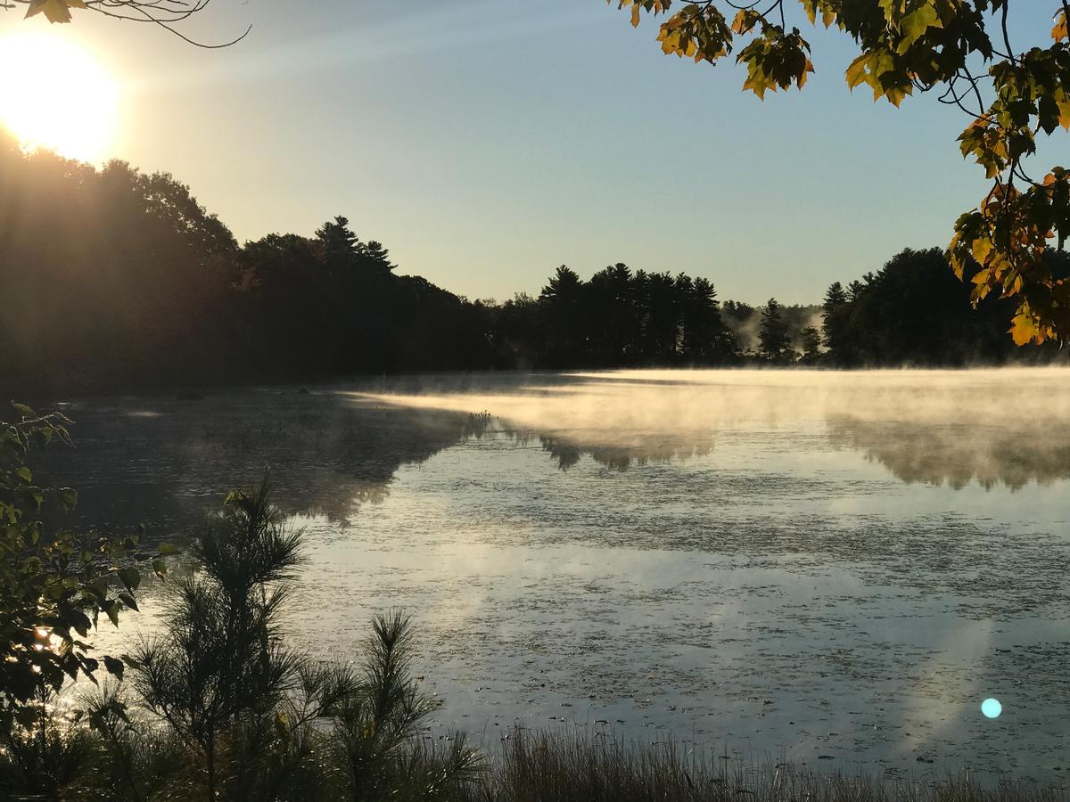 The Cottages At Harvey Lake - thumb 2