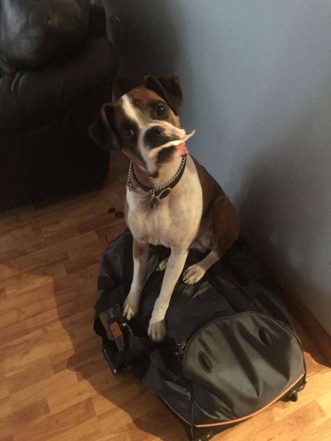 The Cottages At Harvey Lake - thumb 15