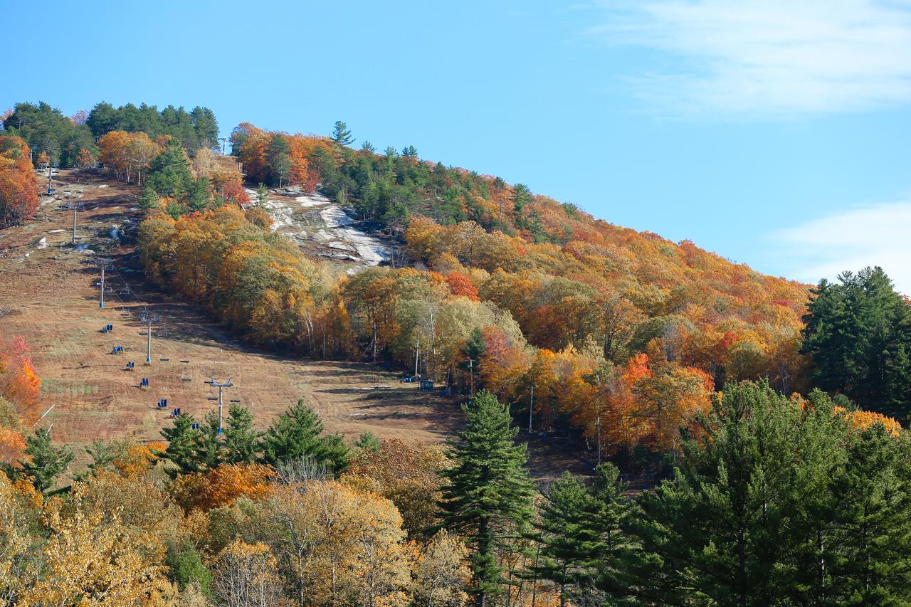 Stonehurst Gorgeous End Unit - thumb 26