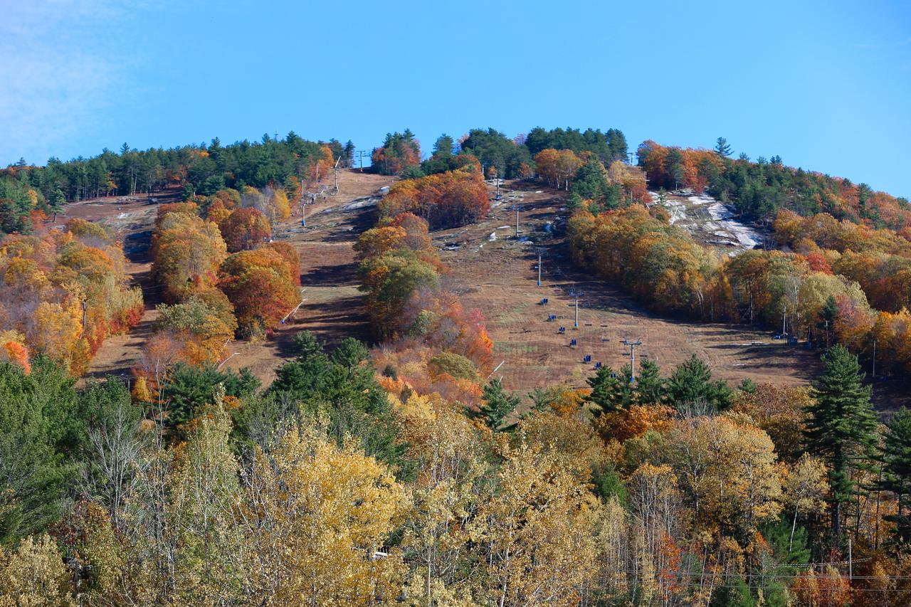 Stonehurst Gorgeous End Unit - thumb 24