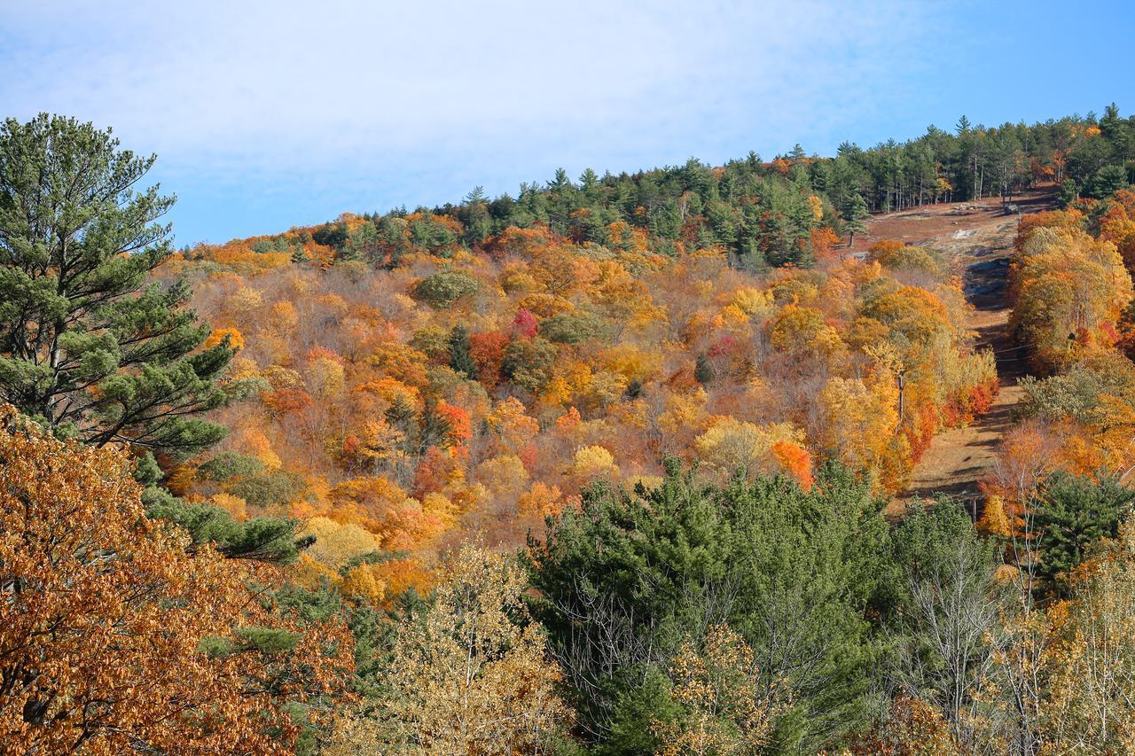Stonehurst Gorgeous End Unit - thumb 25