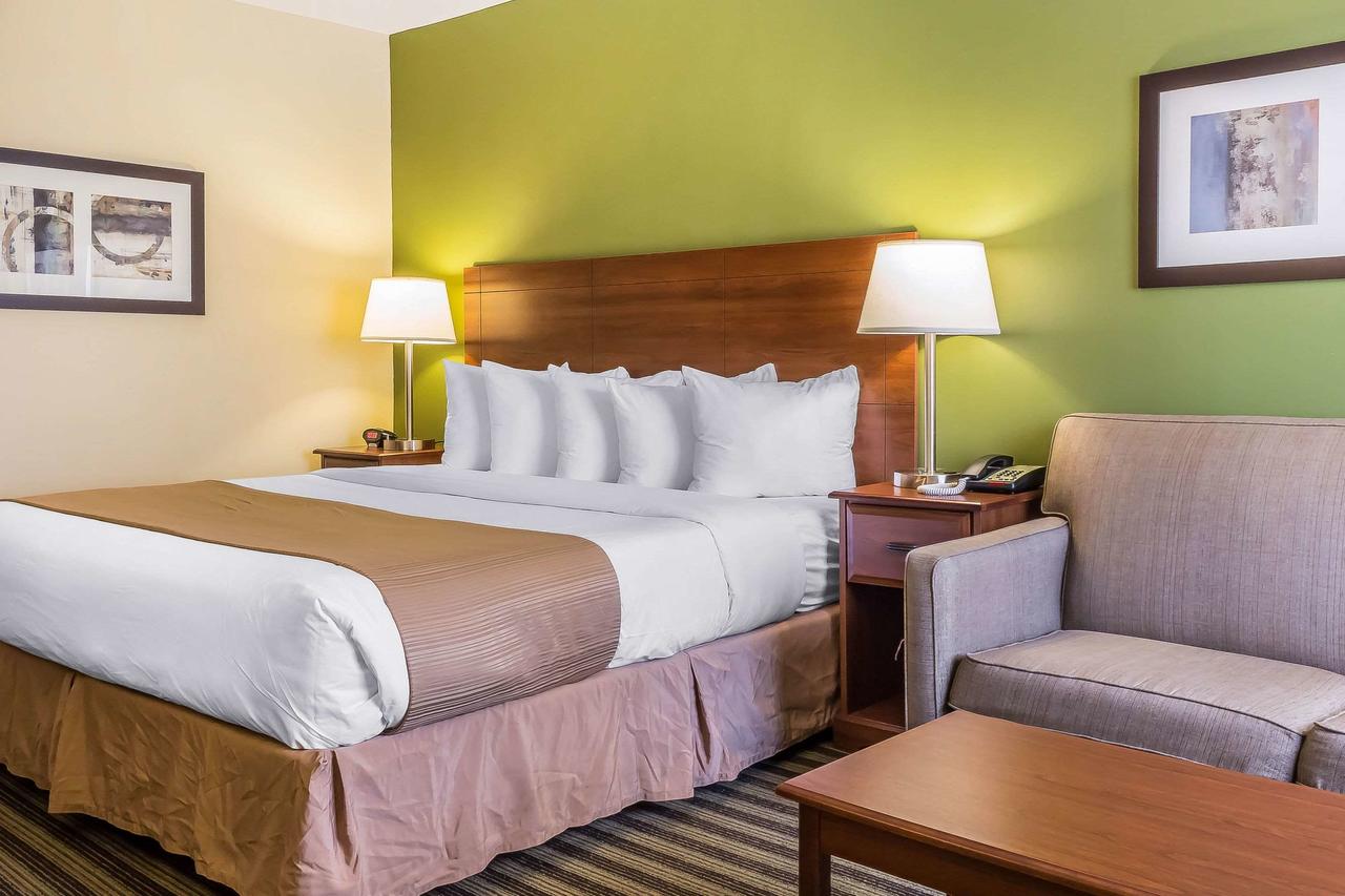 Quality Inn Flamingo - thumb 8