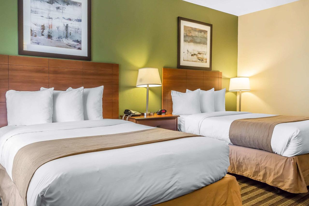 Quality Inn Flamingo - thumb 25