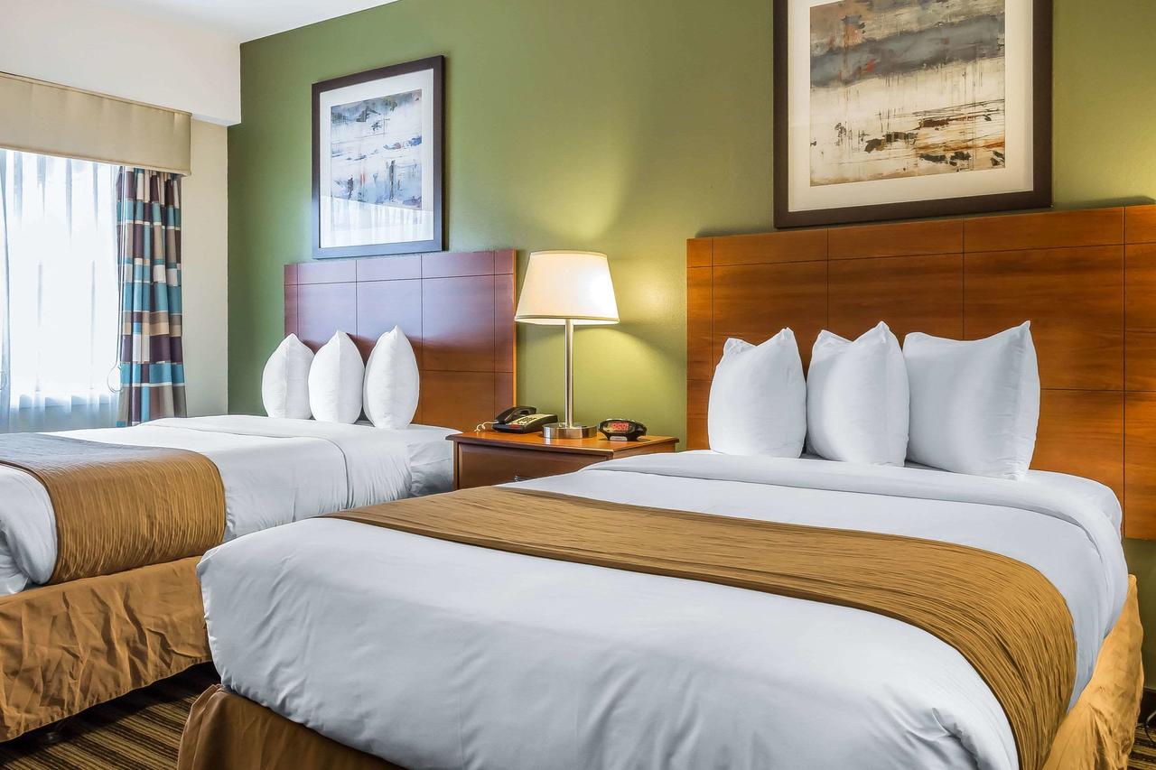 Quality Inn Flamingo - thumb 2