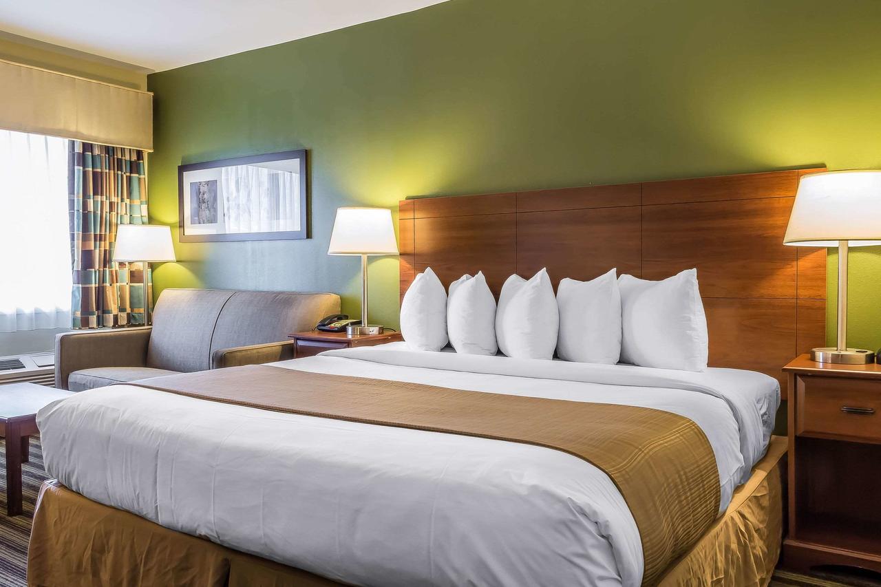 Quality Inn Flamingo - thumb 4