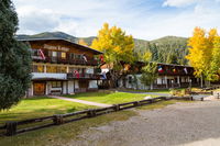 Alpine Lodge Tourism Bookings