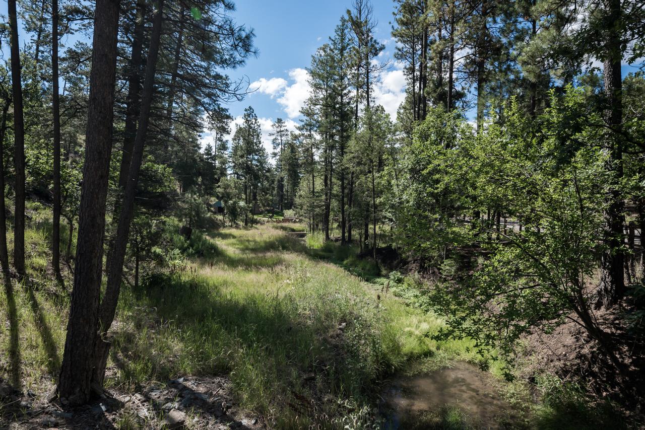 A River Runs Through It, 3 Bedroom, Hot Tub, AC, Wooded, 4 TVs, Pets Allowed - thumb 19