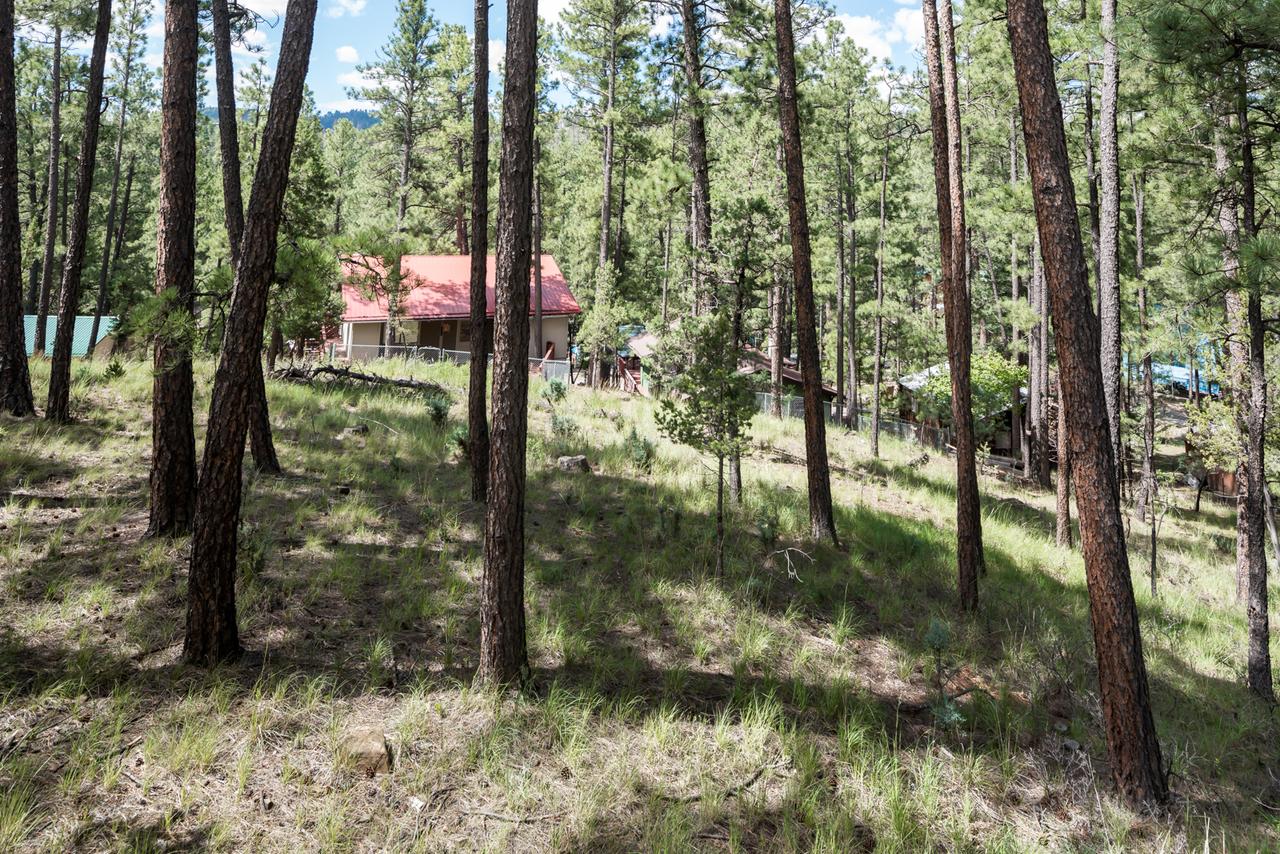 123 Rising Hill, 2 Bedrooms, Sleeps 6, WiFi, Gas Fireplace, Porch, Grill - thumb 17