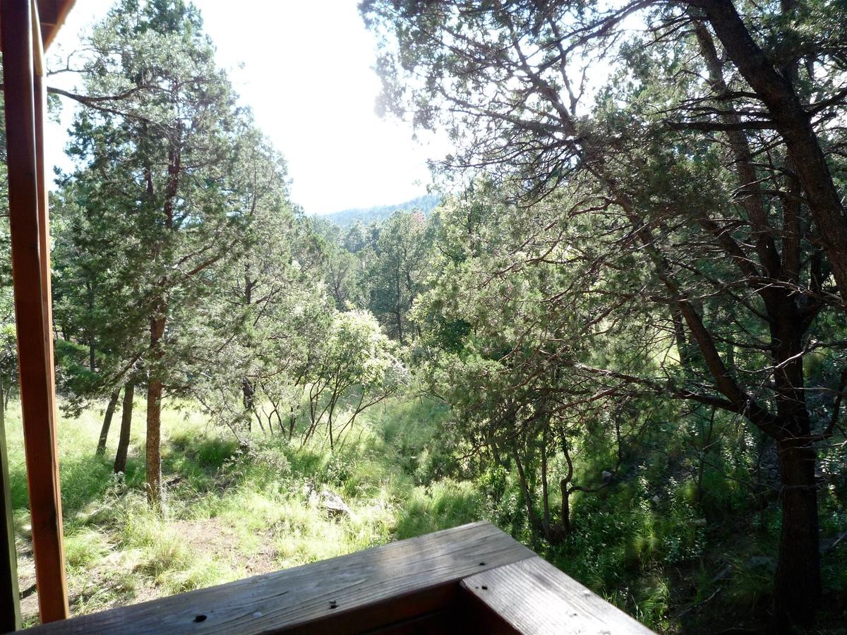 Hummingbird Hideaway - thumb 8