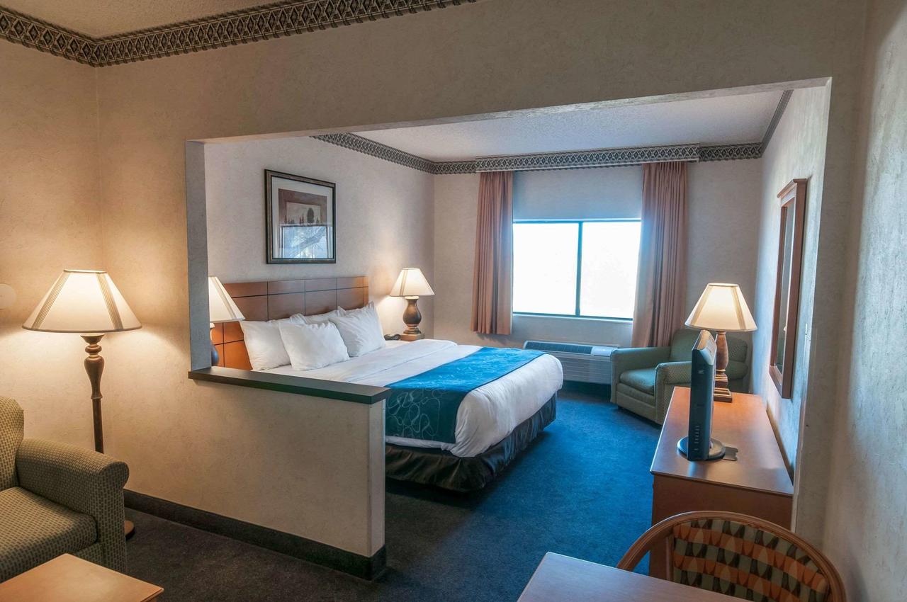 Comfort Suites University Las Cruces - thumb 19