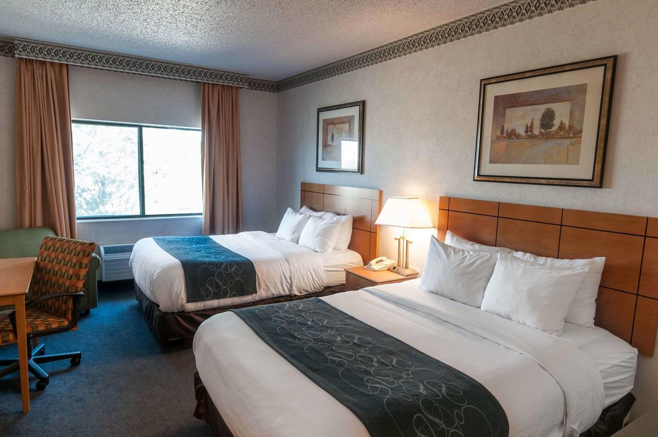 Comfort Suites University Las Cruces - thumb 17