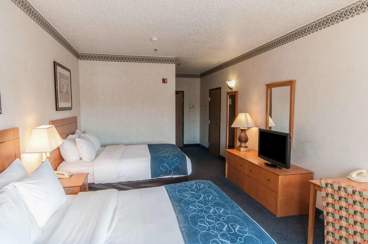 Comfort Suites University Las Cruces - thumb 3