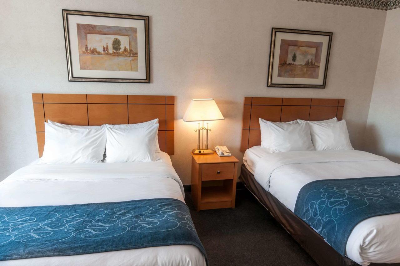 Comfort Suites University Las Cruces - thumb 21