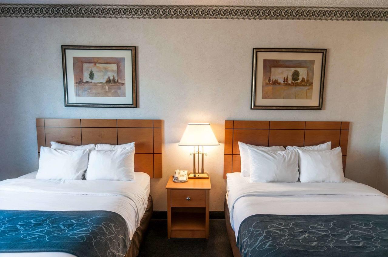 Comfort Suites University Las Cruces - thumb 16