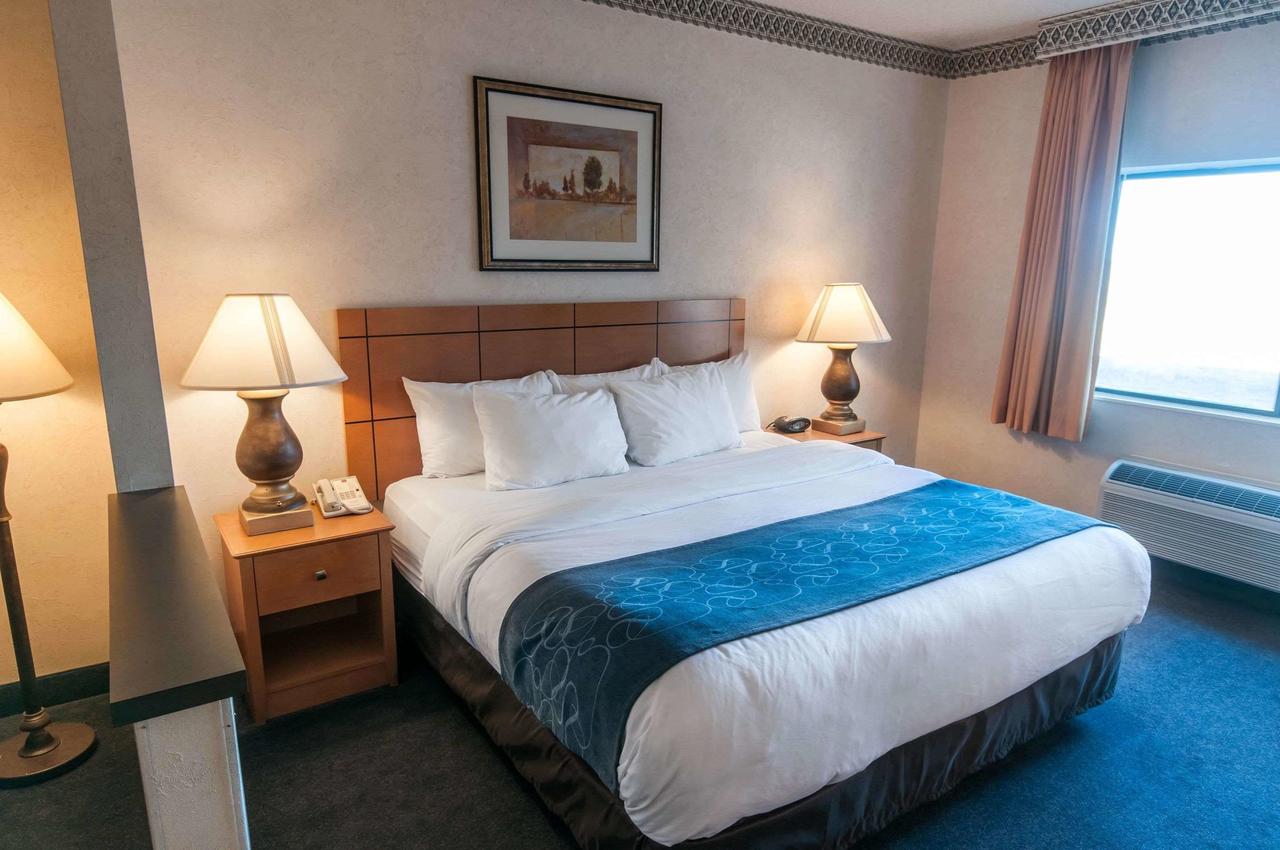 Comfort Suites University Las Cruces - thumb 4