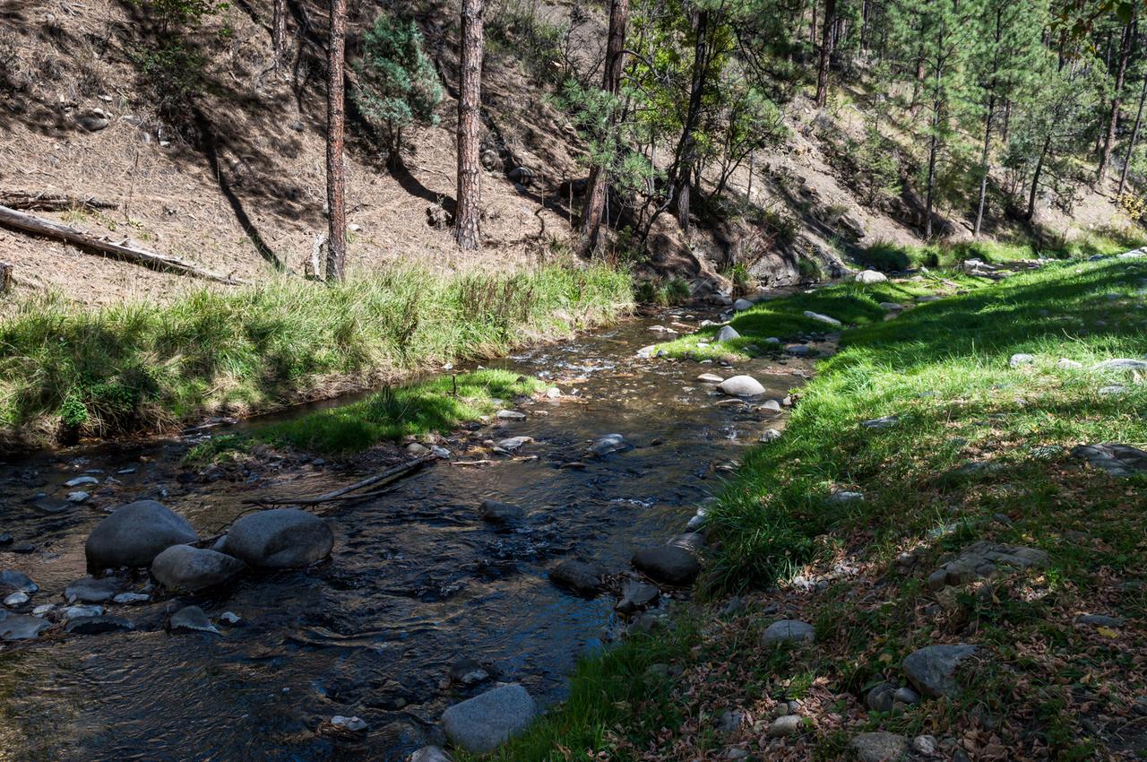 A Whispering River, 2 Bedrooms, Sleeps 6, Pets Welcome, Gas Grill, Hot Tub - thumb 21