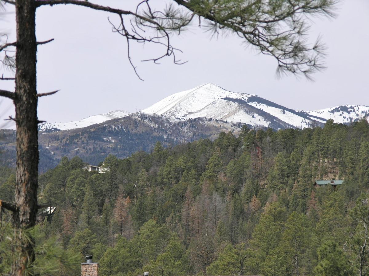 Alpine Village Cabin #100, 1 Bedroom, Sleeps 4, Views, Gas Fireplace - thumb 23