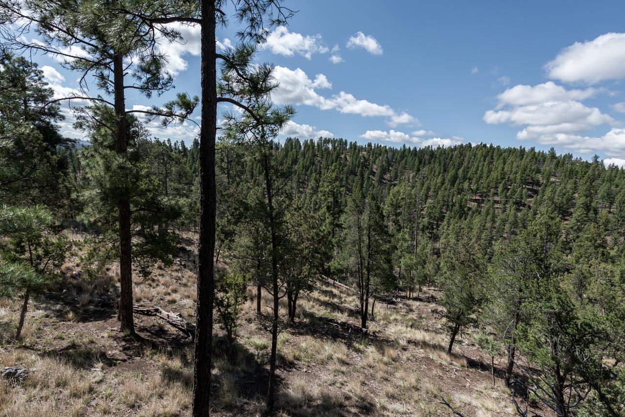 Alpine Village Cabin #100, 1 Bedroom, Sleeps 4, Views, Gas Fireplace - thumb 2