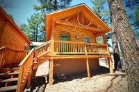 AC - 1 Deer Cabin Tourism Bookings
