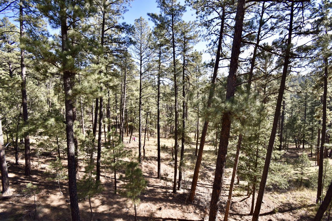 Holladay's Hideaway - thumb 30