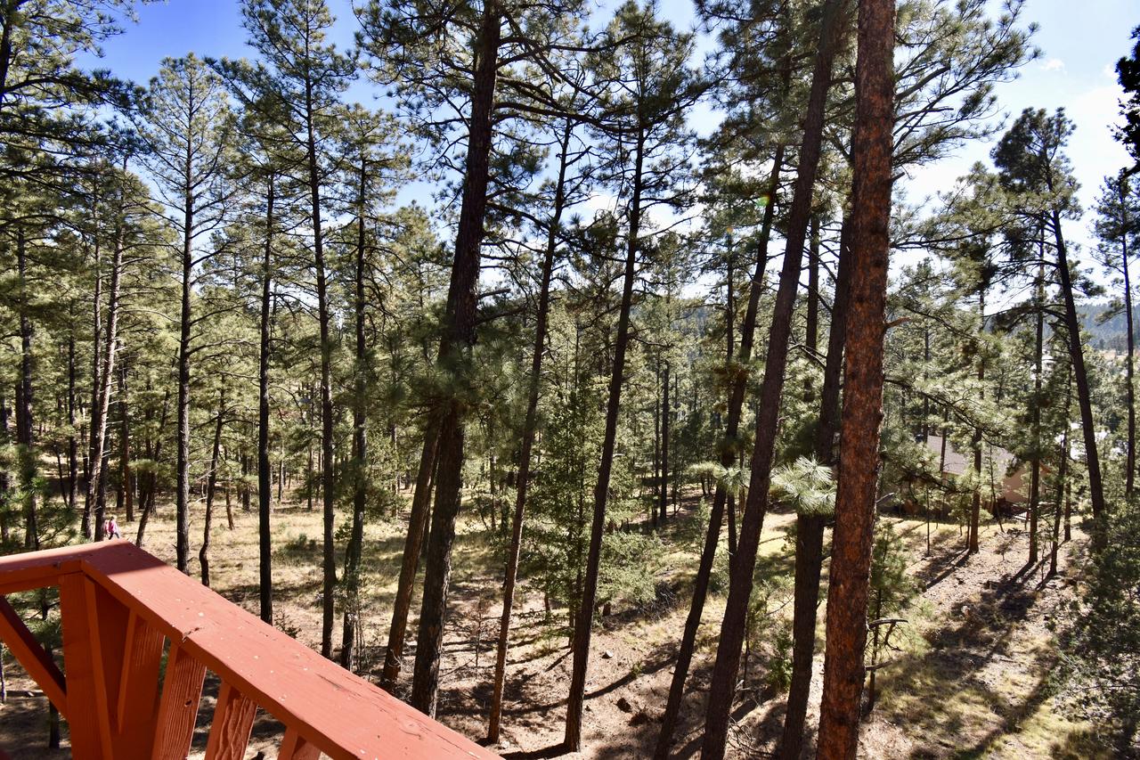 Holladay's Hideaway - thumb 28